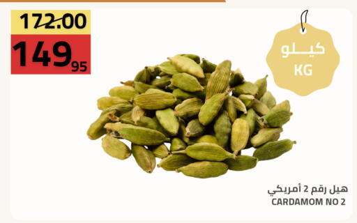 Cardamom available at أسواق أسترا in مملكة العربية السعودية, السعودية, سعودية - تبوك