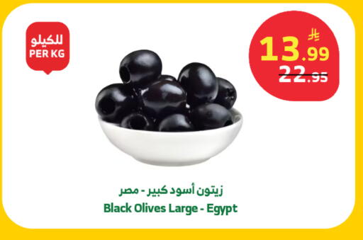 available at Al Raya in KSA, Saudi Arabia, Saudi - Tabuk