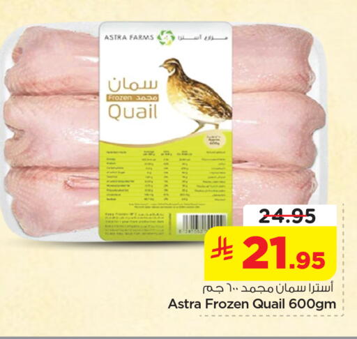 available at Nesto in KSA, Saudi Arabia, Saudi - Jubail