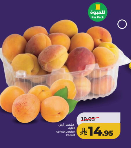 Apricot from Jordan available at لولو هايبرماركت in مملكة العربية السعودية, السعودية, سعودية - خميس مشيط
