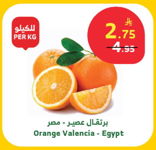 Orange from Egypt available at Al Raya in KSA, Saudi Arabia, Saudi - Tabuk