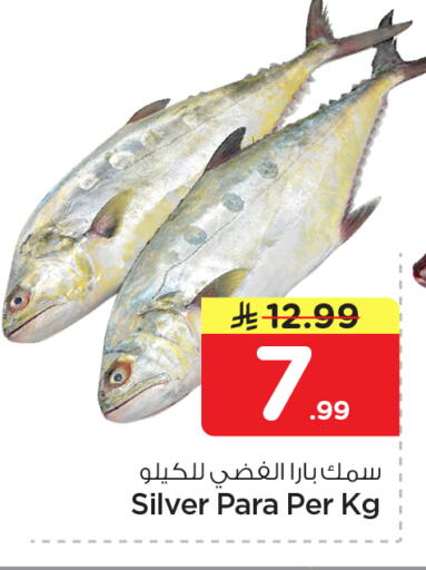 available at نستو in مملكة العربية السعودية, السعودية, سعودية - الخرج