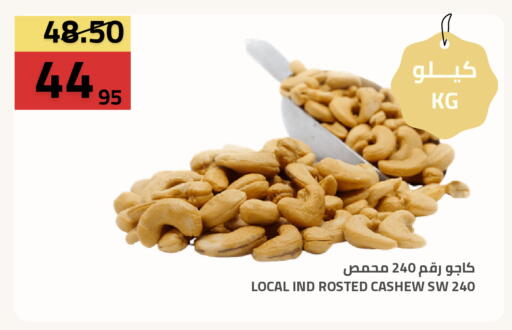 available at أسواق أسترا in مملكة العربية السعودية, السعودية, سعودية - تبوك