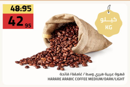 available at أسواق أسترا in مملكة العربية السعودية, السعودية, سعودية - تبوك