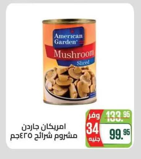 Mushroom available at Seoudi Supermarket in Egypt - Cairo