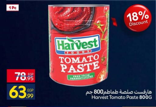 Tomato available at كارفور in Egypt - القاهرة