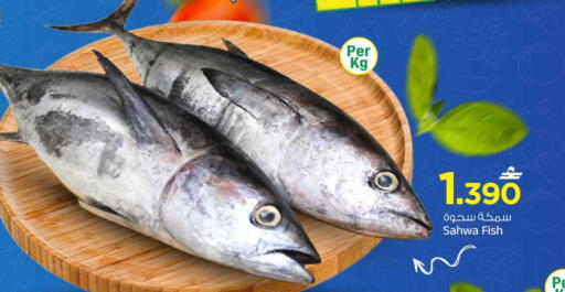 available at MARK & SAVE in Oman - Muscat
