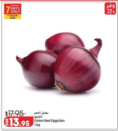 Onion from Egypt available at لولو هايبرماركت in Egypt - القاهرة