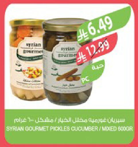 Cucumber available at Farm  in KSA, Saudi Arabia, Saudi - Tabuk