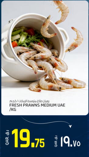 available at كنز ميني مارت in قطر - الدوحة