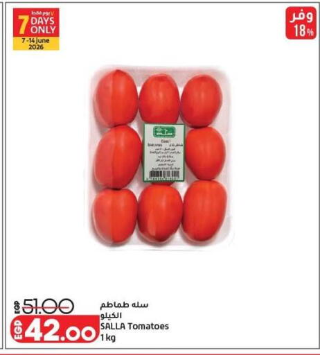Tomato available at لولو هايبرماركت in Egypt - القاهرة