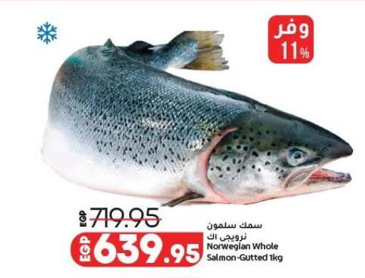 available at لولو هايبرماركت in Egypt - القاهرة
