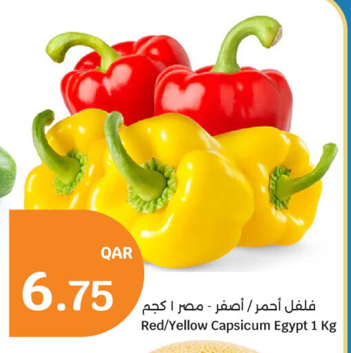 Yellow Capsicum from Egypt available at سيتي هايبرماركت in قطر - الشمال
