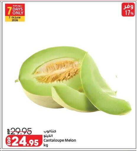 Cantaloupe Melon available at لولو هايبرماركت in Egypt - القاهرة