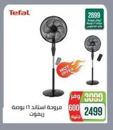 available at Seoudi Supermarket in Egypt - Cairo