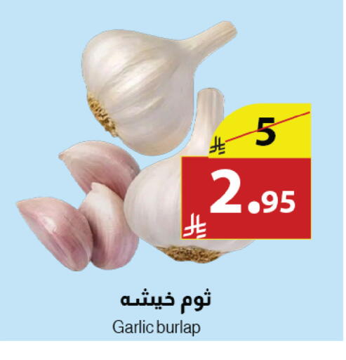 Garlic available at Abyati Stores in KSA, Saudi Arabia, Saudi - Medina