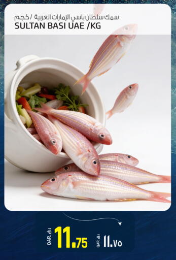 available at كنز ميني مارت in قطر - الدوحة