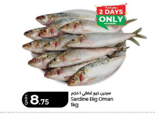 available at لولو هايبرماركت in قطر - الوكرة