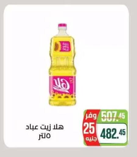 available at Seoudi Supermarket in Egypt - Cairo