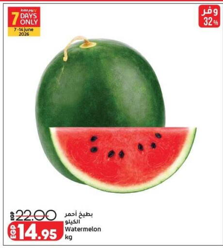 Watermelon available at لولو هايبرماركت in Egypt - القاهرة