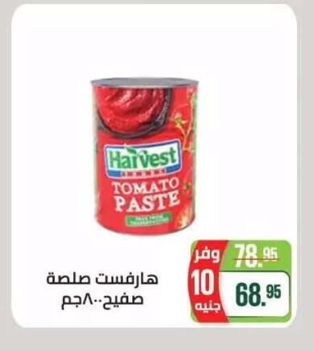 Tomato available at Seoudi Supermarket in Egypt - Cairo