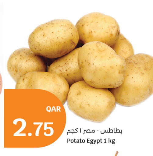 Potato from Egypt available at سيتي هايبرماركت in قطر - الشمال