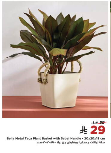 available at Home Box in KSA, Saudi Arabia, Saudi - Al-Kharj