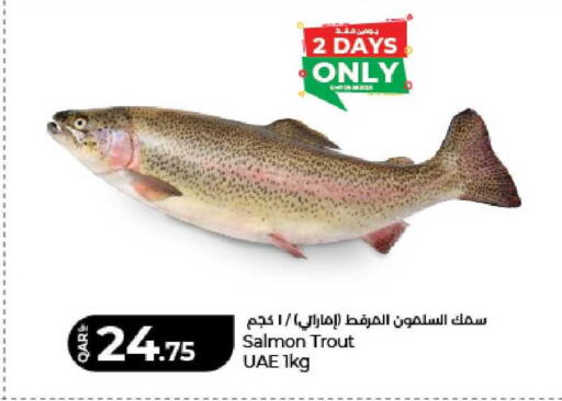 available at LuLu Hypermarket in Qatar - Al Shamal