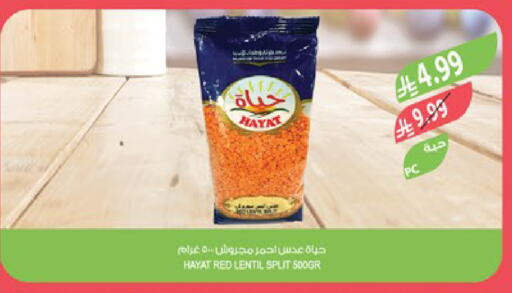 available at المزرعة in مملكة العربية السعودية, السعودية, سعودية - عرعر