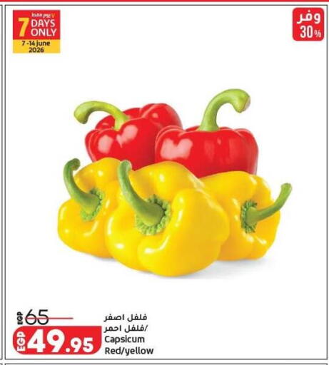 Capsicum available at لولو هايبرماركت in Egypt - القاهرة