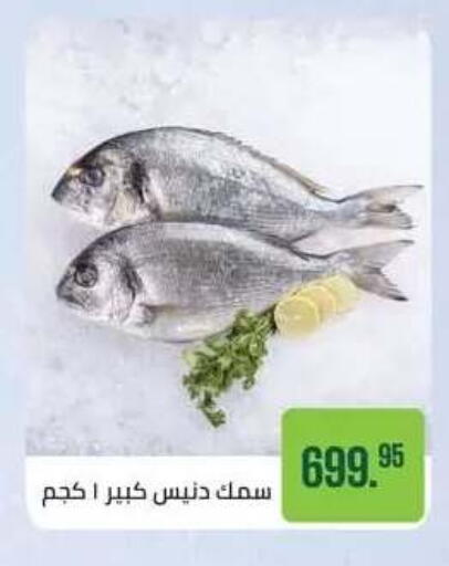 available at Seoudi Supermarket in Egypt - Cairo