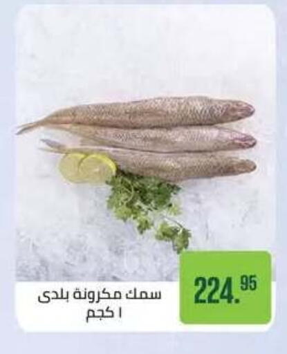 available at Seoudi Supermarket in Egypt - Cairo