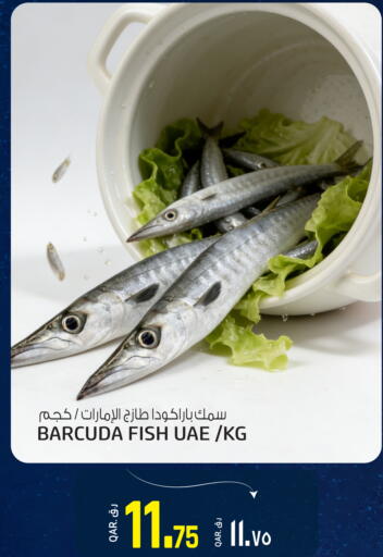 available at كنز ميني مارت in قطر - الدوحة