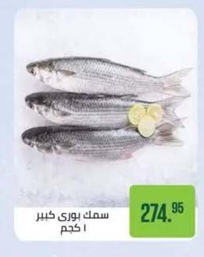 available at Seoudi Supermarket in Egypt - Cairo