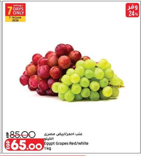 Grapes from Egypt available at لولو هايبرماركت in Egypt - القاهرة