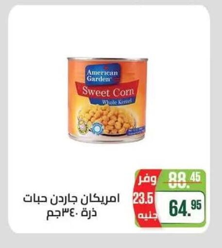 available at Seoudi Supermarket in Egypt - Cairo