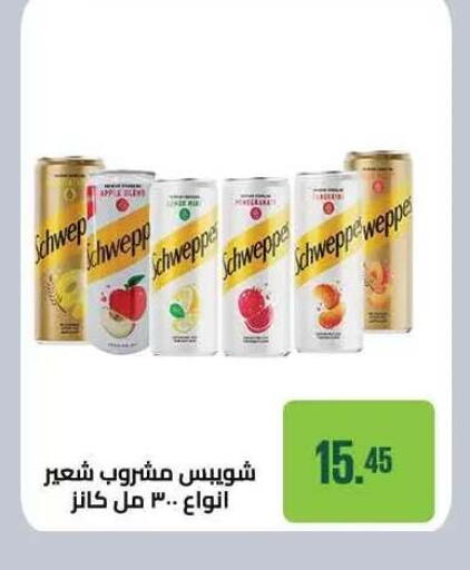available at Seoudi Supermarket in Egypt - Cairo