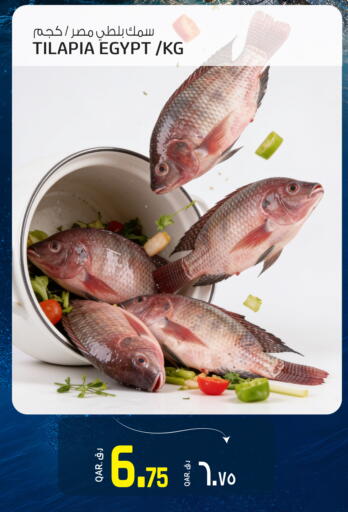 available at كنز ميني مارت in قطر - الدوحة