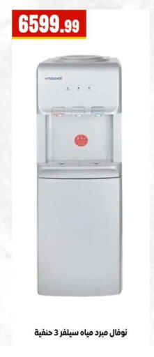 available at El Mahlawy Stores in Egypt - Cairo