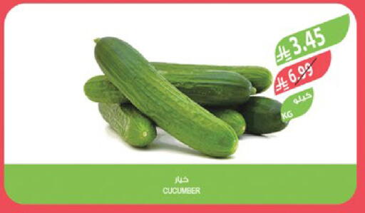 Cucumber available at المزرعة in مملكة العربية السعودية, السعودية, سعودية - جدة