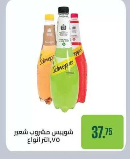 available at Seoudi Supermarket in Egypt - Cairo
