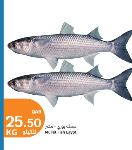 available at City Hypermarket in Qatar - Al Wakra