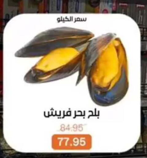 available at بيت الجملة in Egypt - القاهرة