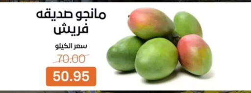available at Beit El Gomla in Egypt - Cairo