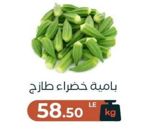 available at Arafa Market in Egypt - Cairo