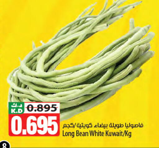 Mango from Kuwait available at مانجو هايبرماركت in الكويت - مدينة الكويت