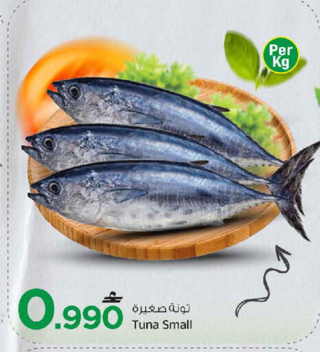 available at مارك & سايف in عُمان - مسقط‎