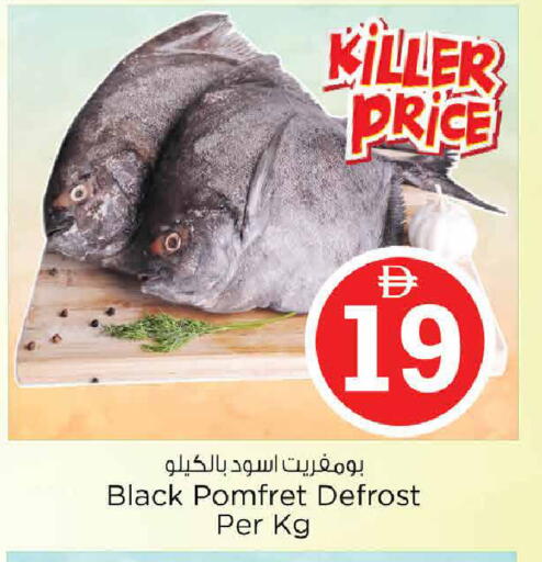 available at نستو هايبرماركت in الإمارات العربية المتحدة , الامارات - الشارقة / عجمان