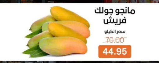 available at Beit El Gomla in Egypt - Cairo