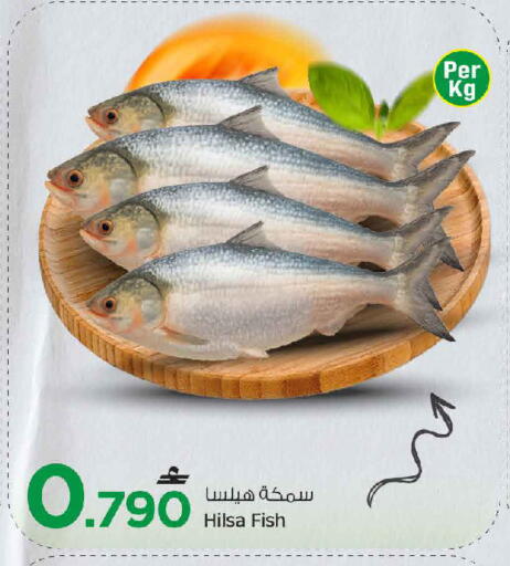 available at مارك & سايف in عُمان - مسقط‎